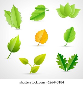 Different kinds of leaves