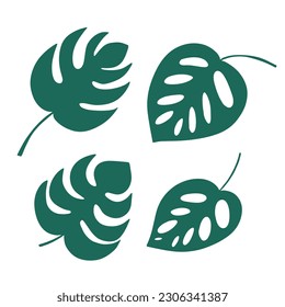 Different kinds monstera leaves set. Flat style mostera leaves set