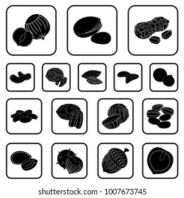 Different kinds of nuts black icons in set collection for design.Nut Food vector symbol stock web illustration.