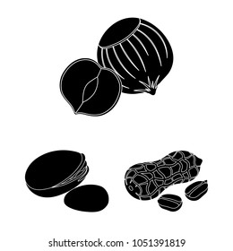 Different kinds of nuts black icons in set collection for design.Nut Food vector symbol stock web illustration.
