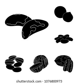 Different kinds of nuts black icons in set collection for design.Nut Food vector symbol stock web illustration.