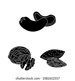 Different kinds of nuts black icons in set collection for design.Nut Food vector symbol stock web illustration.