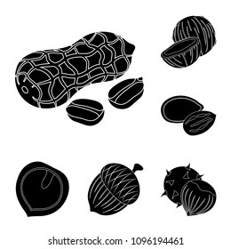 Different kinds of nuts black icons in set collection for design.Nut Food vector symbol stock web illustration.