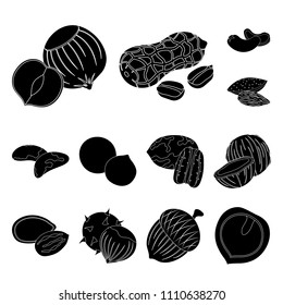 Different kinds of nuts black icons in set collection for design.Nut Food vector symbol stock web illustration.