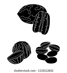 Different kinds of nuts black icons in set collection for design.Nut Food vector symbol stock web illustration.