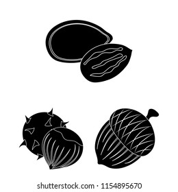 Different kinds of nuts black icons in set collection for design.Nut Food vector symbol stock web illustration.