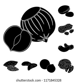 Different kinds of nuts black icons in set collection for design.Nut Food vector symbol stock web illustration.