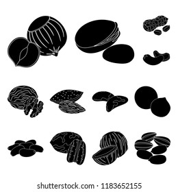 Different kinds of nuts black icons in set collection for design.Nut Food vector symbol stock web illustration.
