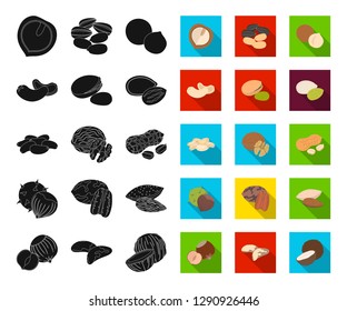 Different kinds of nuts black,flat icons in set collection for design.Nut Food vector symbol stock web illustration.