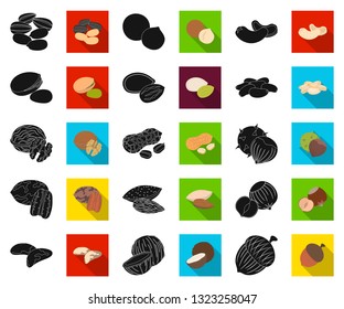 Different kinds of nuts black,flat icons in set collection for design.Nut Food vector symbol stock web illustration.