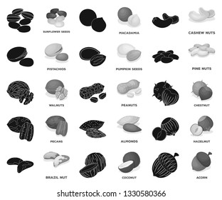 Different kinds of nuts black,monochrome icons in set collection for design.Nut Food vector symbol stock web illustration.