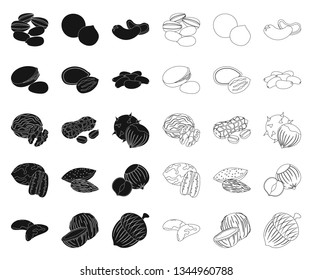 Different kinds of nuts black,outline icons in set collection for design.Nut Food vector symbol stock web illustration.