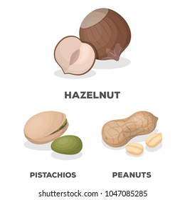 Different kinds of nuts cartoon icons in set collection for design.Nut Food vector symbol stock web illustration.