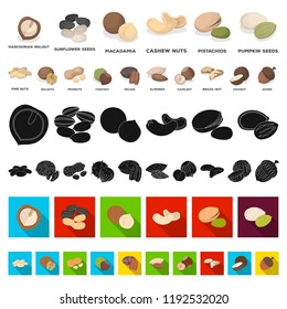 Different kinds of nuts cartoon icons in set collection for design.Nut Food vector symbol stock web illustration.