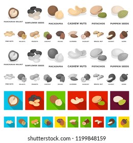 Different kinds of nuts cartoon icons in set collection for design.Nut Food vector symbol stock web illustration.