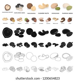 Different kinds of nuts cartoon icons in set collection for design.Nut Food vector symbol stock web illustration.
