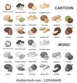 Different kinds of nuts cartoon icons in set collection for design.Nut Food vector symbol stock web illustration.