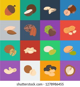 Different kinds of nuts cartoon icons in set collection for design.Nut Food vector symbol stock web illustration.