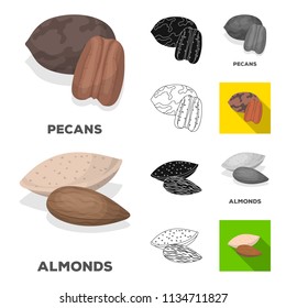 Different kinds of nuts cartoon,black,flat,monochrome,outline icons in set collection for design.Nut Food vector symbol stock web illustration.