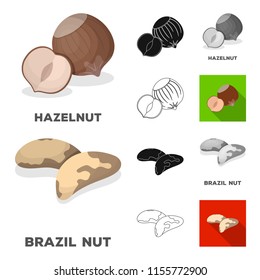 Different kinds of nuts cartoon,black,flat,monochrome,outline icons in set collection for design.Nut Food vector symbol stock web illustration.