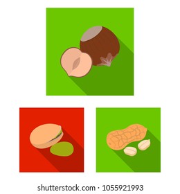 Different kinds of nuts flat icons in set collection for design.Nut Food vector symbol stock web illustration.