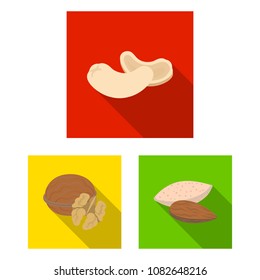 Different kinds of nuts flat icons in set collection for design.Nut Food vector symbol stock web illustration.