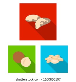 Different kinds of nuts flat icons in set collection for design.Nut Food vector symbol stock web illustration.