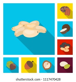 Different kinds of nuts flat icons in set collection for design.Nut Food vector symbol stock web illustration.