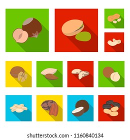 Different kinds of nuts flat icons in set collection for design.Nut Food vector symbol stock web illustration.