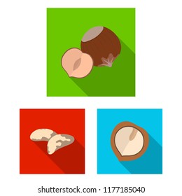 Different kinds of nuts flat icons in set collection for design.Nut Food vector symbol stock web illustration.