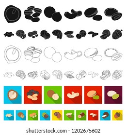 Different kinds of nuts flat icons in set collection for design.Nut Food vector symbol stock web illustration.