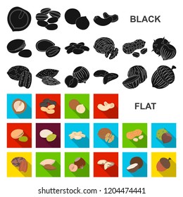 Different kinds of nuts flat icons in set collection for design.Nut Food vector symbol stock web illustration.