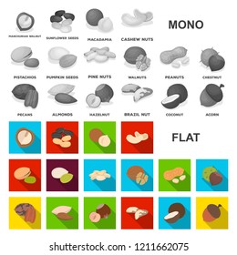 Different kinds of nuts flat icons in set collection for design.Nut Food vector symbol stock web illustration.