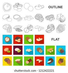 Different kinds of nuts flat icons in set collection for design.Nut Food vector symbol stock web illustration.