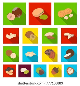 Different kinds of nuts flat icons in set collection for design.Nut Food vector symbol stock web illustration.