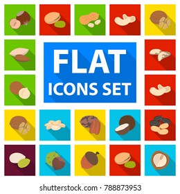 Different kinds of nuts flat icons in set collection for design.Nut Food vector symbol stock web illustration.