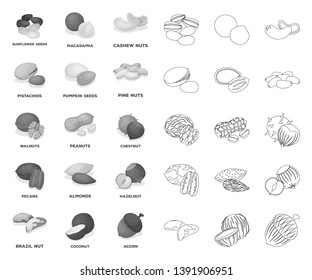 Different kinds of nuts mono,outline icons in set collection for design.Nut Food vector symbol stock web illustration.