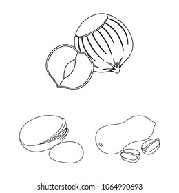 Different kinds of nuts outline icons in set collection for design.Nut Food vector symbol stock web illustration.