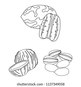 Different kinds of nuts outline icons in set collection for design.Nut Food vector symbol stock web illustration.