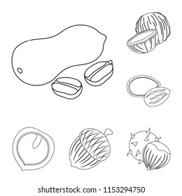 Different kinds of nuts outline icons in set collection for design.Nut Food vector symbol stock web illustration.