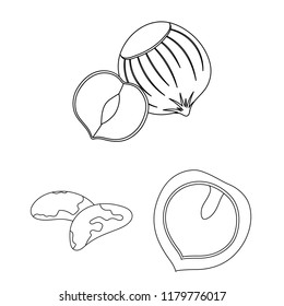 Different kinds of nuts outline icons in set collection for design.Nut Food vector symbol stock web illustration.