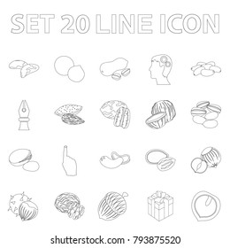 Different kinds of nuts outline icons in set collection for design.Nut Food vector symbol stock web illustration.