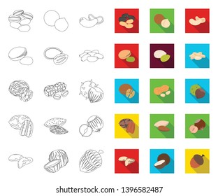 Different kinds  nuts outline,flat icons in set collection  design.Nut Food vector symbol stock web illustration.