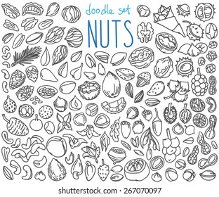 Different kinds of nuts. Set of doodles, hand drawn rough simple sketches. Vector icons isolated on white background.