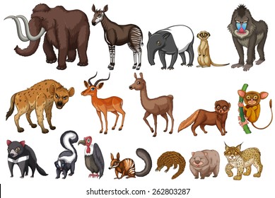 Different kinds of rare animals