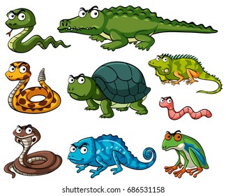 Diferentes tipos de ilustración de reptiles