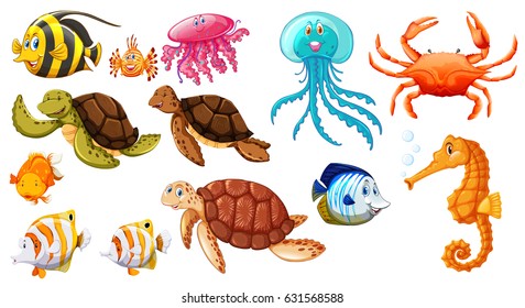 Different kinds of sea animals illustration