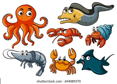 Different kinds of sea wildlife illustration