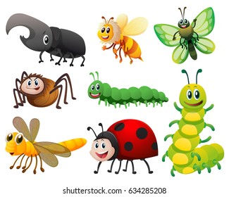 Different kinds of small insects illustration