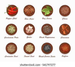 Different kinds of spices on wooden board. Realistic vector illustration. Condiment set used for advertising seasonings, or market and shop products.